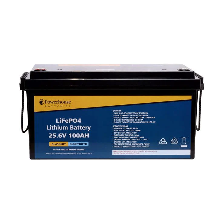 24Volt 100Ah Lithium LiFePO4 Battery M8 With Bluetooth