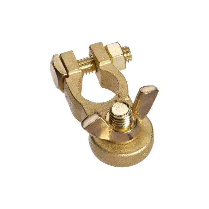 Projecta Brass Battery Terminal HD Positive Wingnut | BT14H-P1