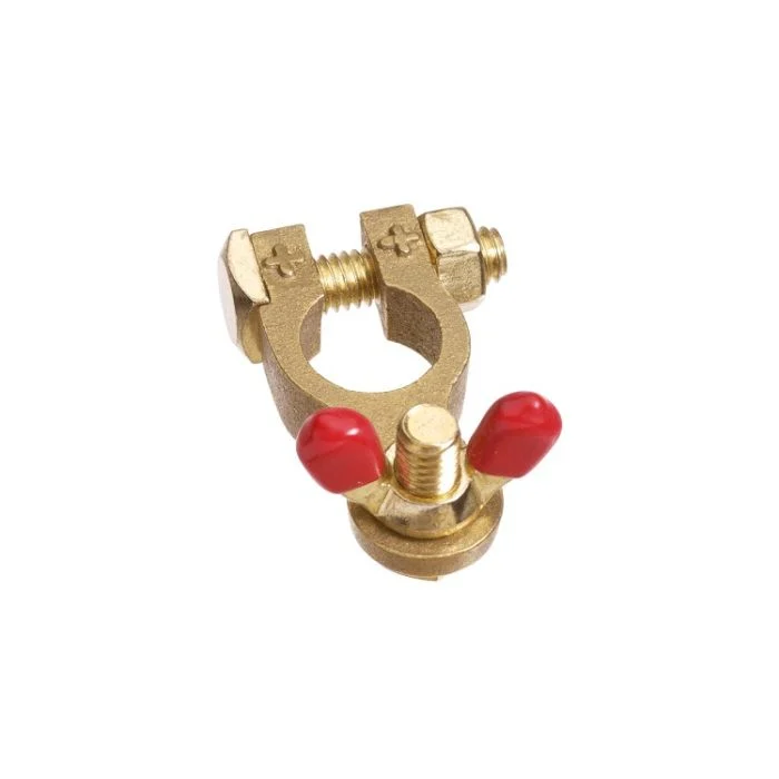 Projecta Brass Battery Terminal Positive Wingnut | BT14-P1