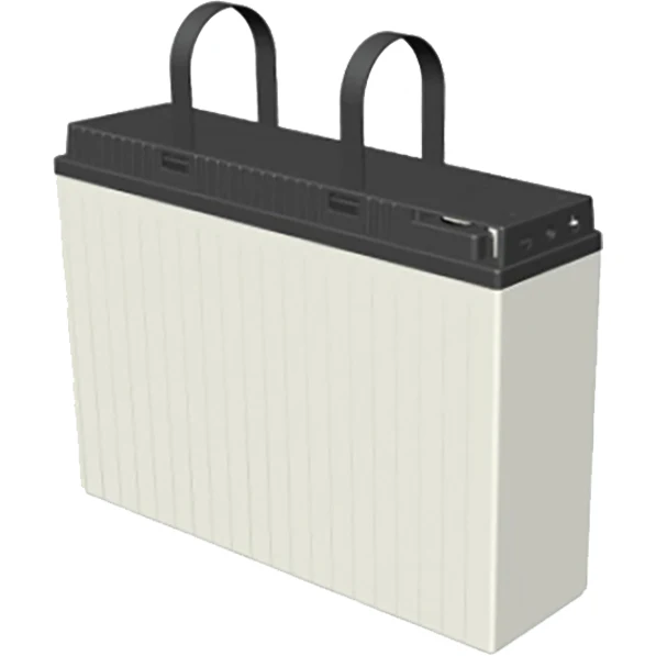Slim line Predator GEL 100 AH Deep cycle Battery (FTG12-100)
