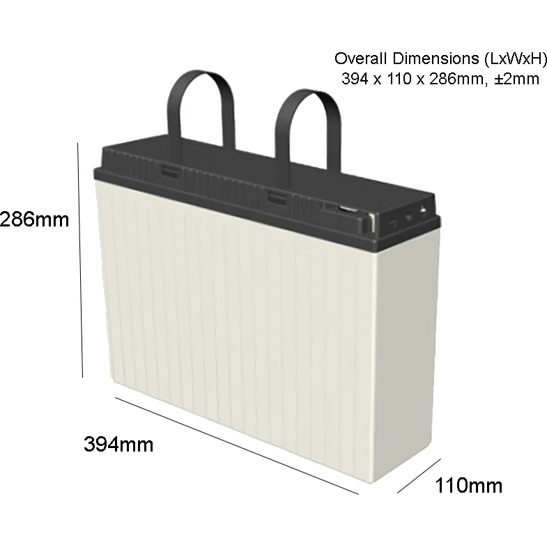 Slim line Predator GEL 100 AH Deep cycle Battery (FTG12-100) - Image 2