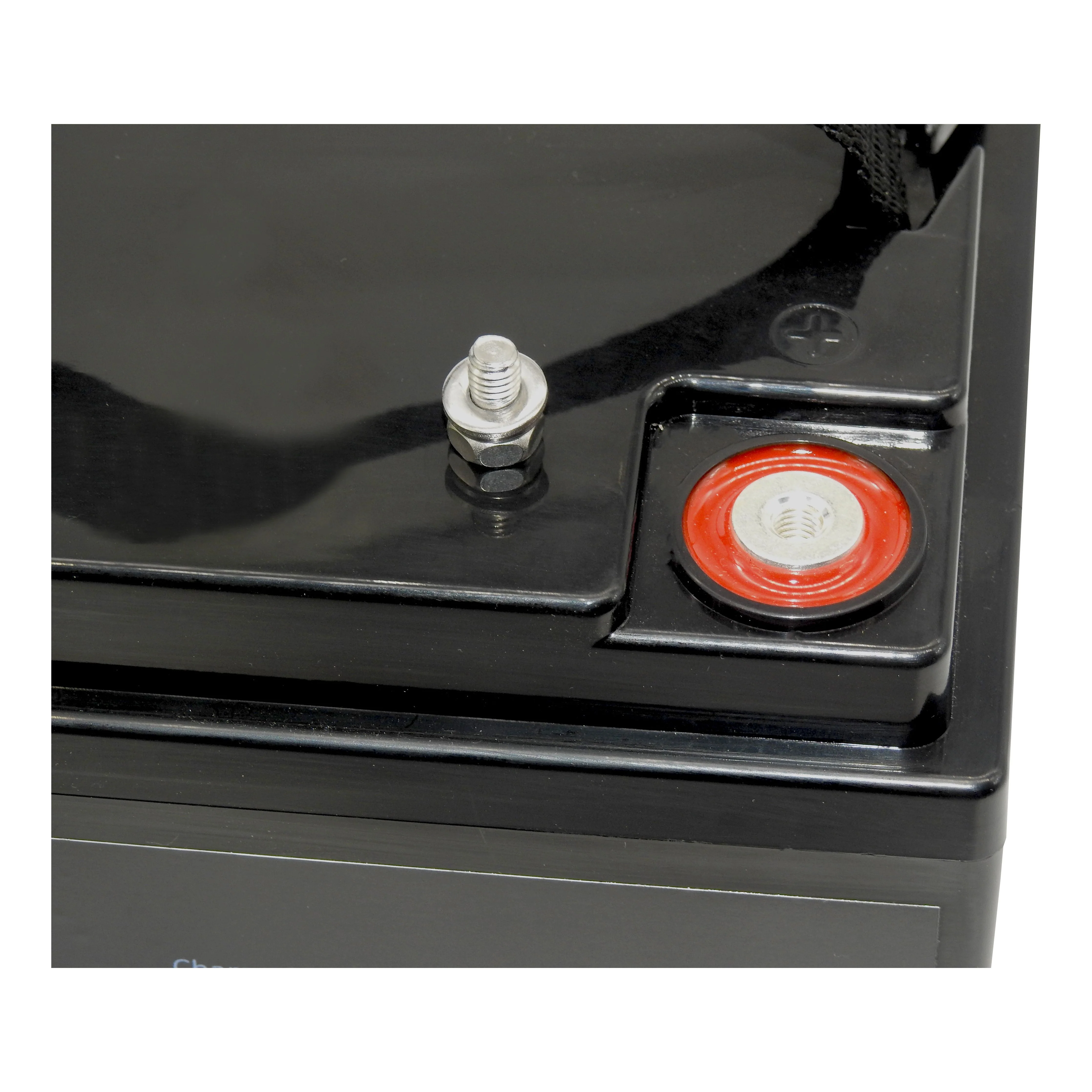 Thumper Lithium 50 AH LiFePO4 Battery with Bluetooth monitoring TL-50BT - Image 3