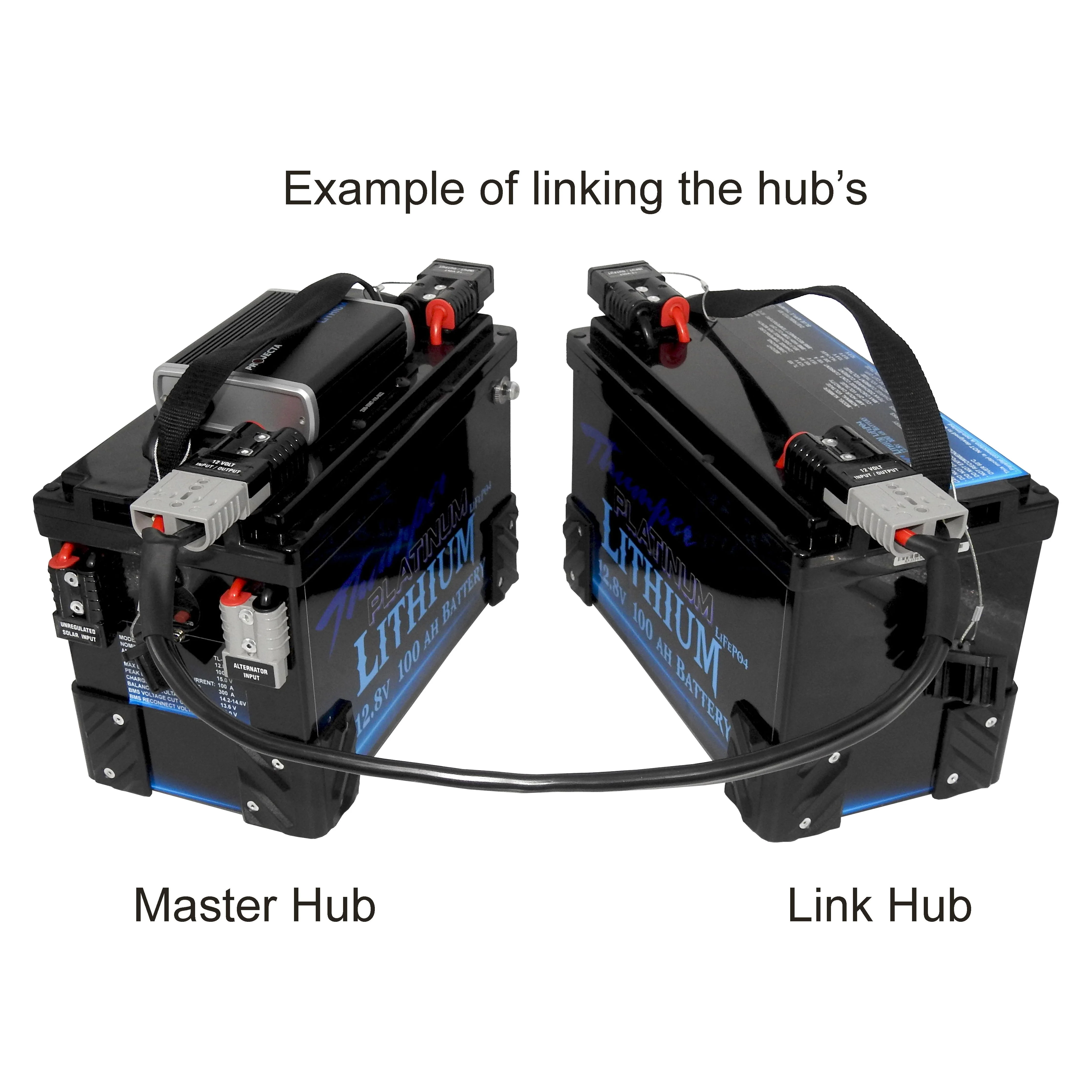 Thumper Lithium LiFePO4 Battery Hub 120 AH Link Hub BLUETOOTH - Image 3