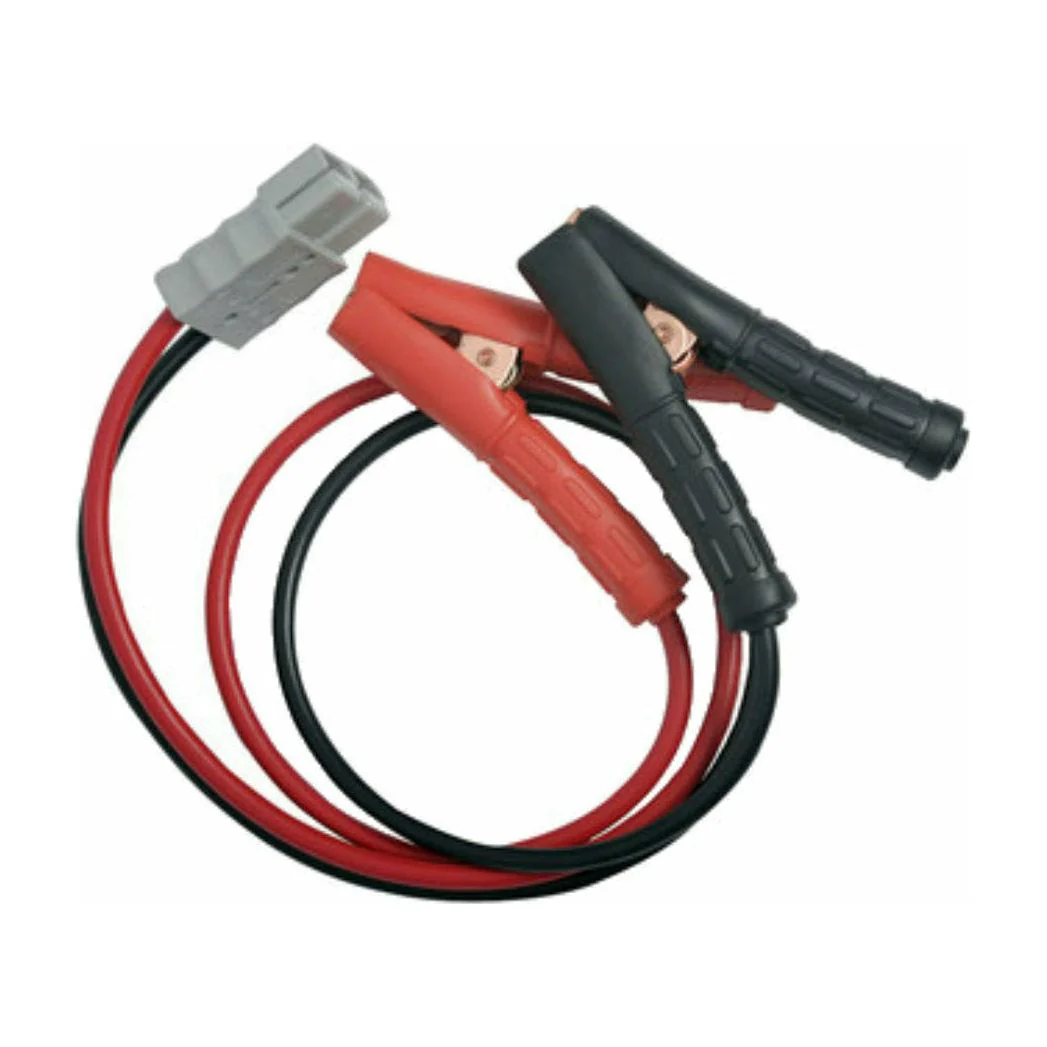 Thumper 'Redback' 30 AH Battery Pack Dual Battery complete wiring loom - Image 8