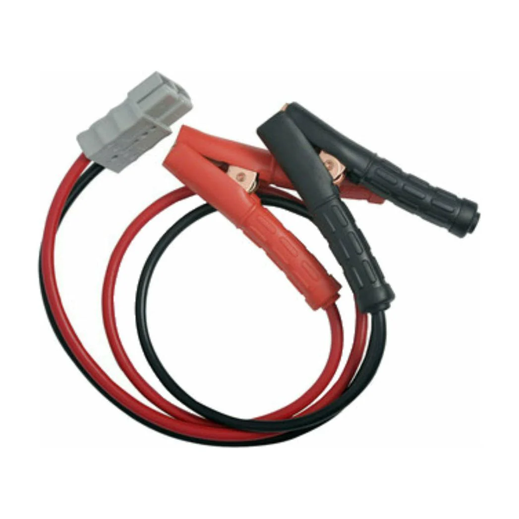Thumper 'Redback' 80 AH Battery Pack Dual Battery - Image 8