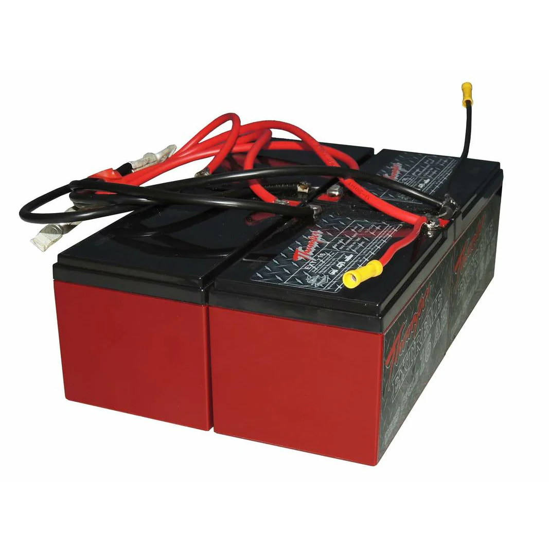 Thumper replacement batteries to suit 60 AH (DIP-60) - Image 3